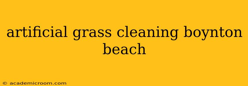 artificial grass cleaning boynton beach