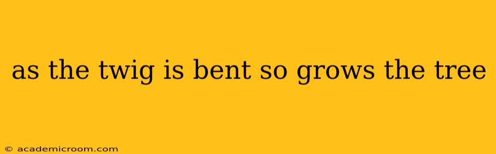 as the twig is bent so grows the tree