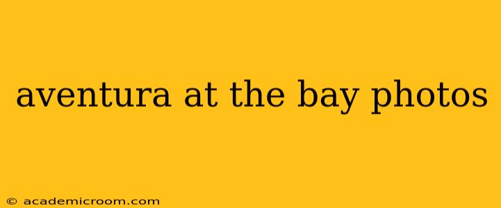 aventura at the bay photos