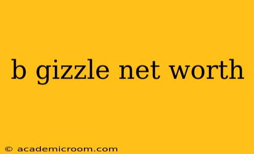 b gizzle net worth