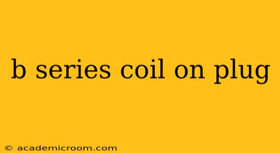 b series coil on plug