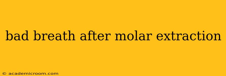 bad breath after molar extraction