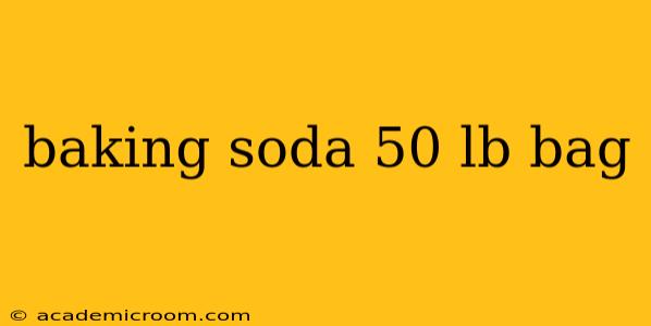 baking soda 50 lb bag