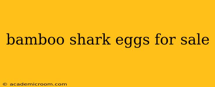 bamboo shark eggs for sale