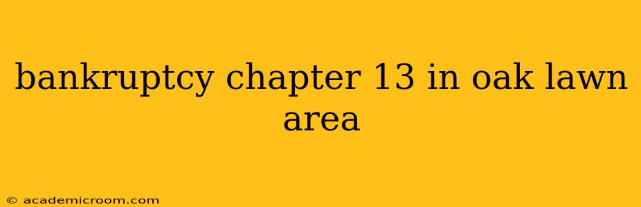 bankruptcy chapter 13 in oak lawn area