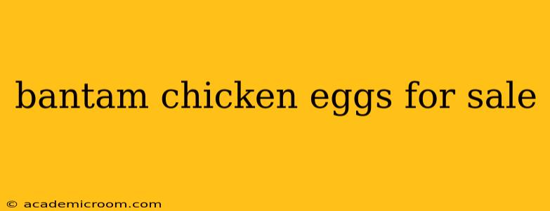 bantam chicken eggs for sale