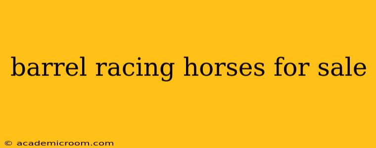 barrel racing horses for sale