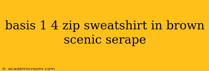 basis 1 4 zip sweatshirt in brown scenic serape