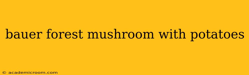 bauer forest mushroom with potatoes