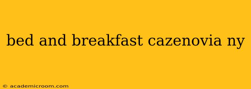 bed and breakfast cazenovia ny