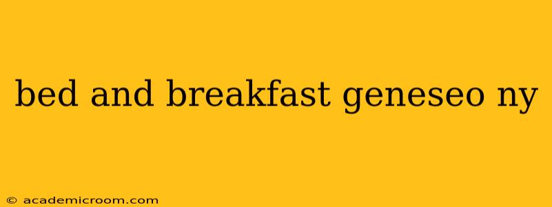 bed and breakfast geneseo ny