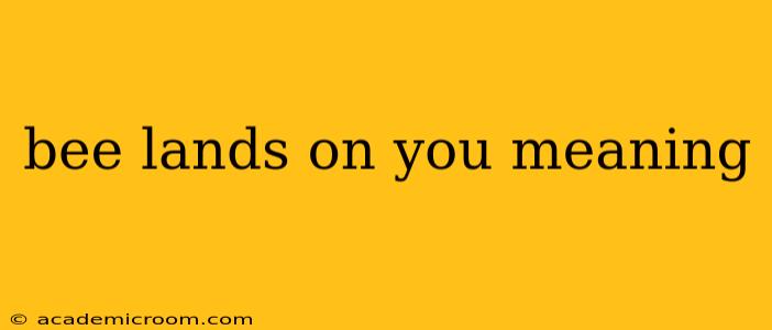 bee lands on you meaning