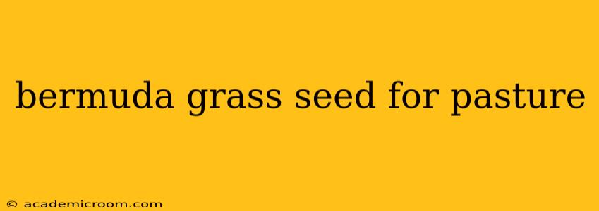 bermuda grass seed for pasture
