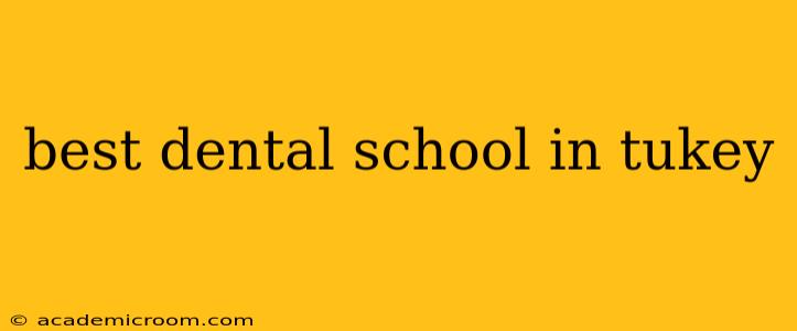 best dental school in tukey