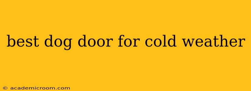 best dog door for cold weather