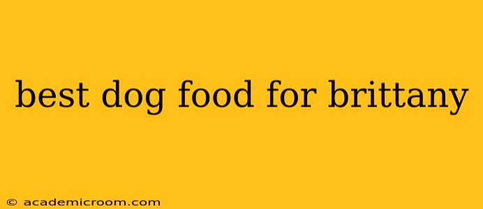 best dog food for brittany