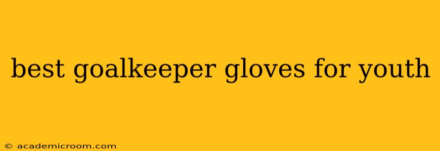 best goalkeeper gloves for youth