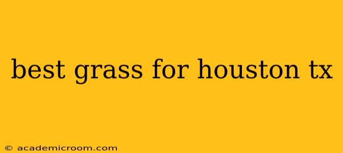 best grass for houston tx