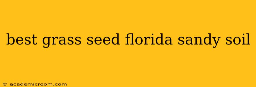 best grass seed florida sandy soil