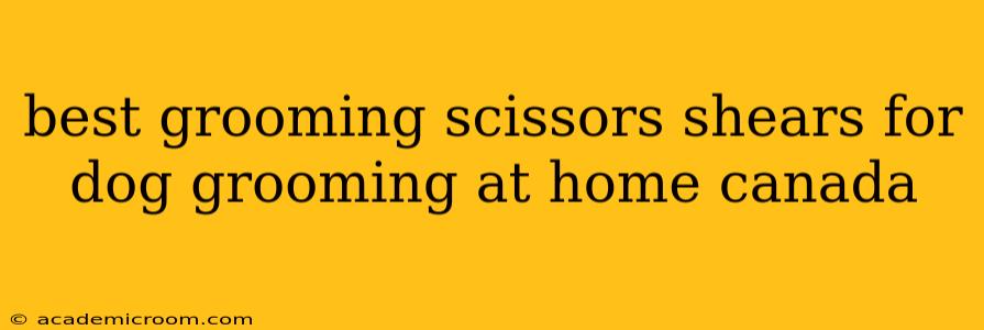 best grooming scissors shears for dog grooming at home canada