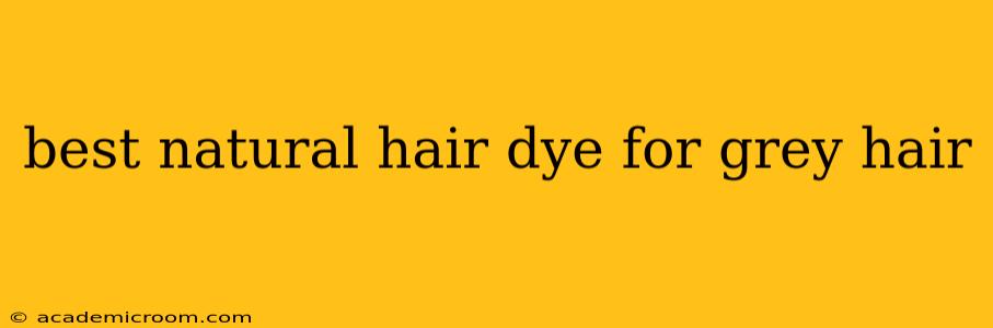 best natural hair dye for grey hair