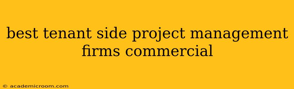 best tenant side project management firms commercial