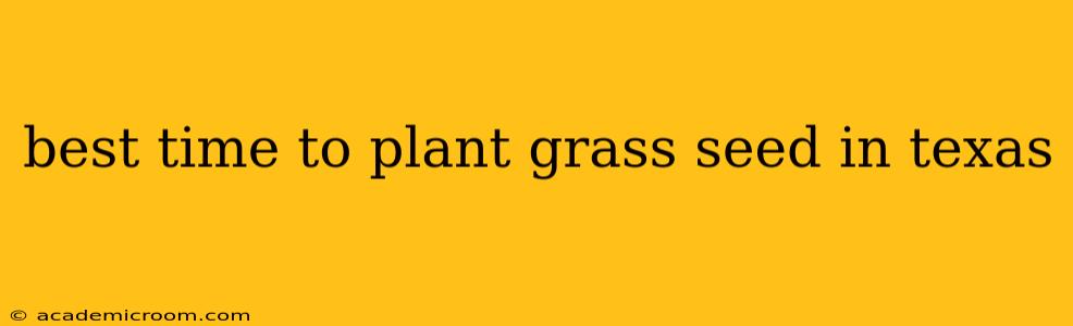 best time to plant grass seed in texas
