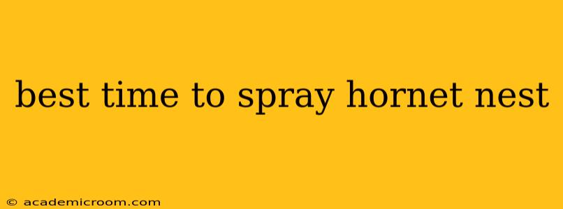 best time to spray hornet nest
