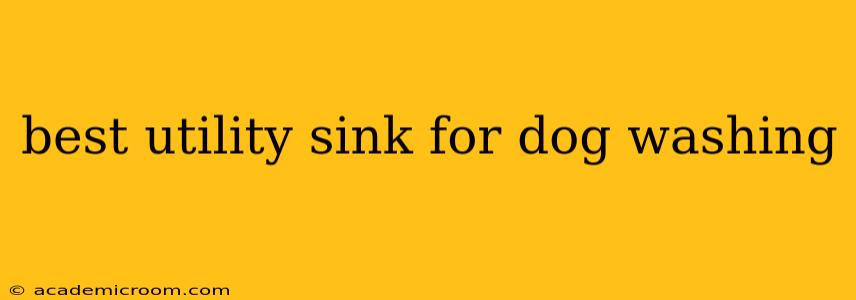 best utility sink for dog washing