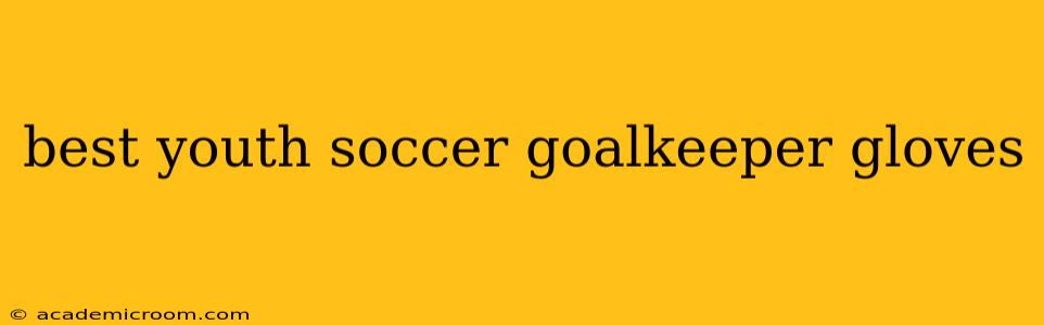 best youth soccer goalkeeper gloves