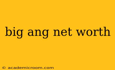 big ang net worth