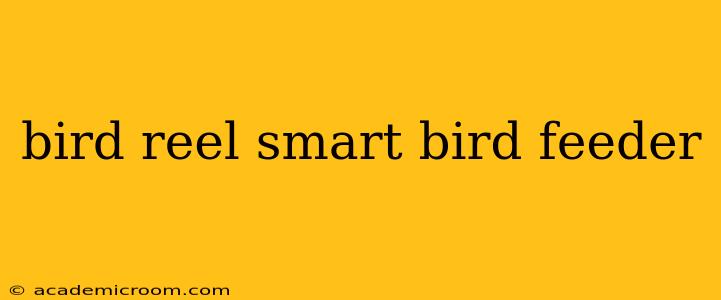 bird reel smart bird feeder