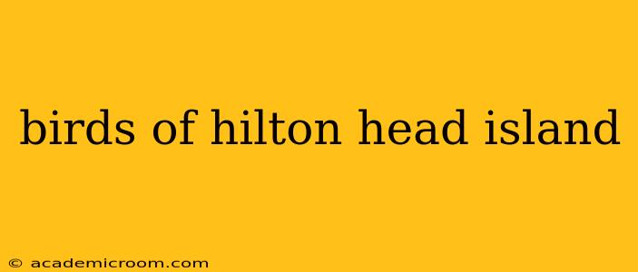 birds of hilton head island