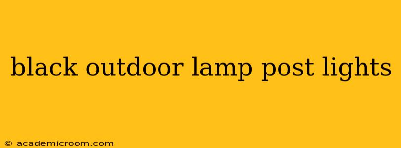 black outdoor lamp post lights