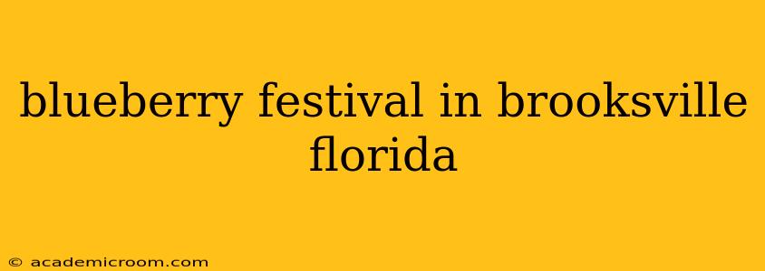 blueberry festival in brooksville florida