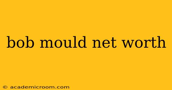 bob mould net worth