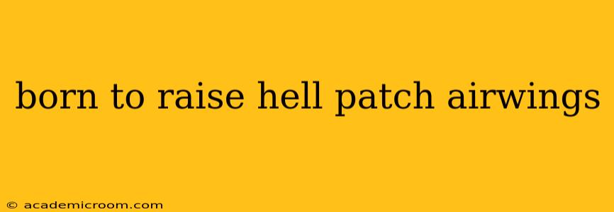 born to raise hell patch airwings