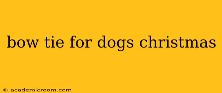 bow tie for dogs christmas