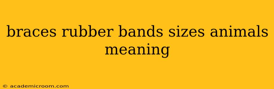 braces rubber bands sizes animals meaning