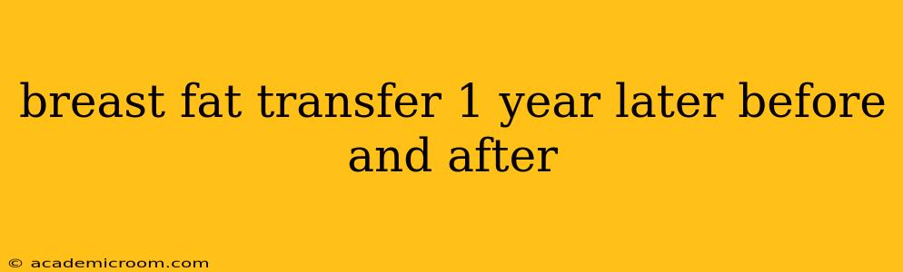 breast fat transfer 1 year later before and after