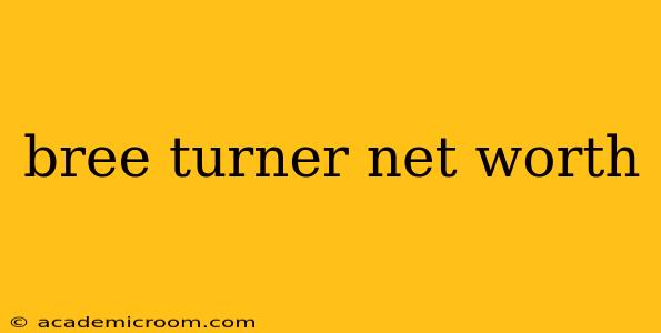 bree turner net worth