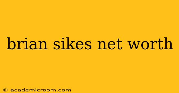 brian sikes net worth
