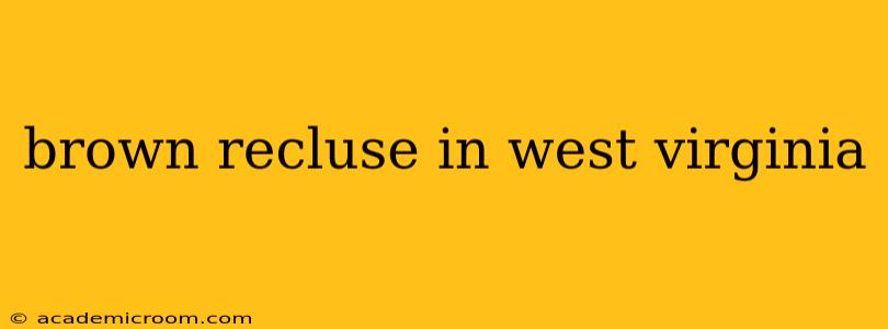 brown recluse in west virginia