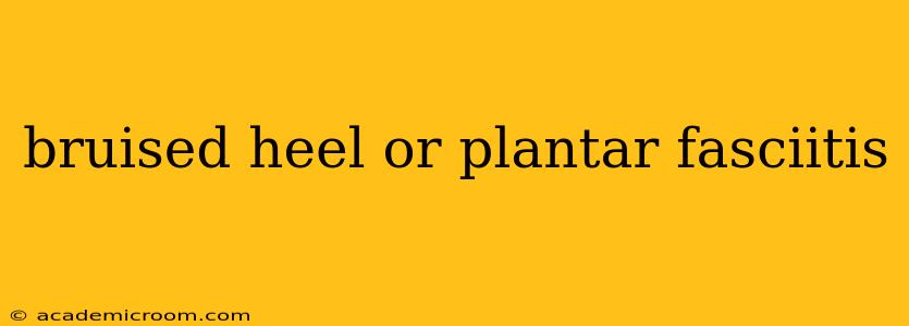 bruised heel or plantar fasciitis