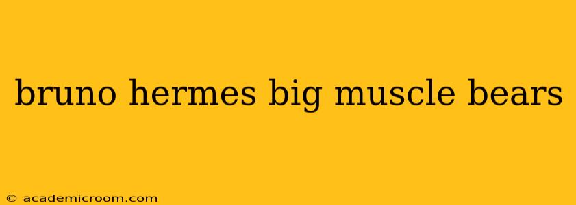 bruno hermes big muscle bears bruno hermes big muscle bears