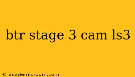 btr stage 3 cam ls3