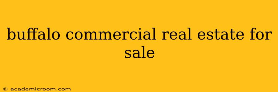buffalo commercial real estate for sale