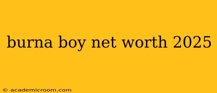 burna boy net worth 2025