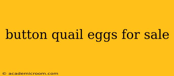 button quail eggs for sale