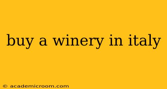 buy a winery in italy